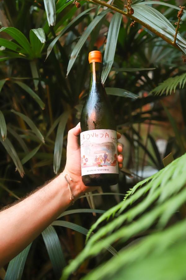 BE Jardin Escondido By Coppola - 5