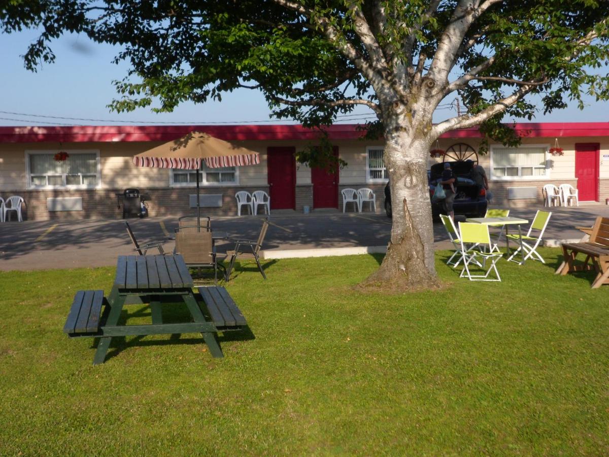 Silver Birch Motel — photo 23