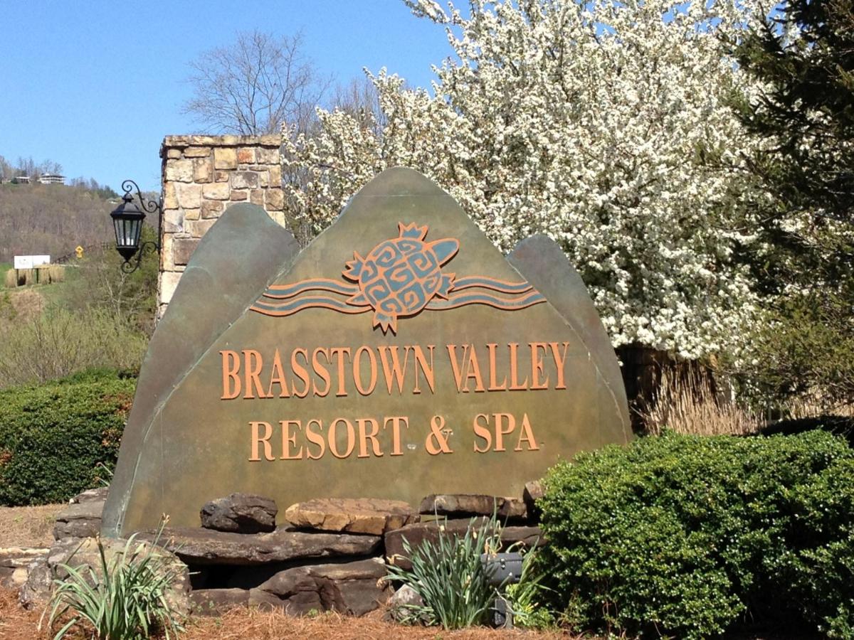 Brasstown Valley Resort & Spa — photo 9