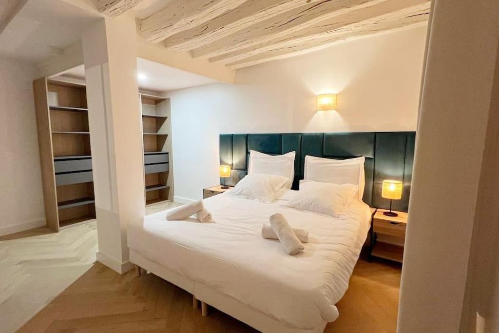 Magnificient Parisian Flat - Parisian heart - 2