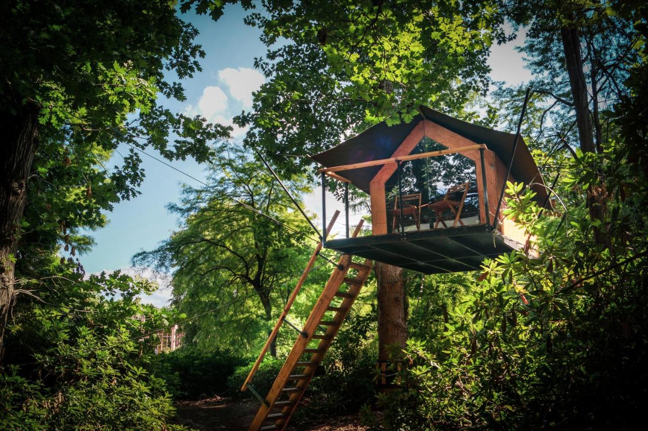 Een tuin van Boomkamp treehouses
