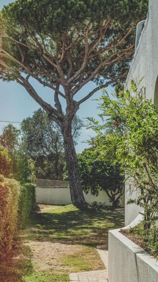 Pine House - Faro Airport, Beach and City Center - 2