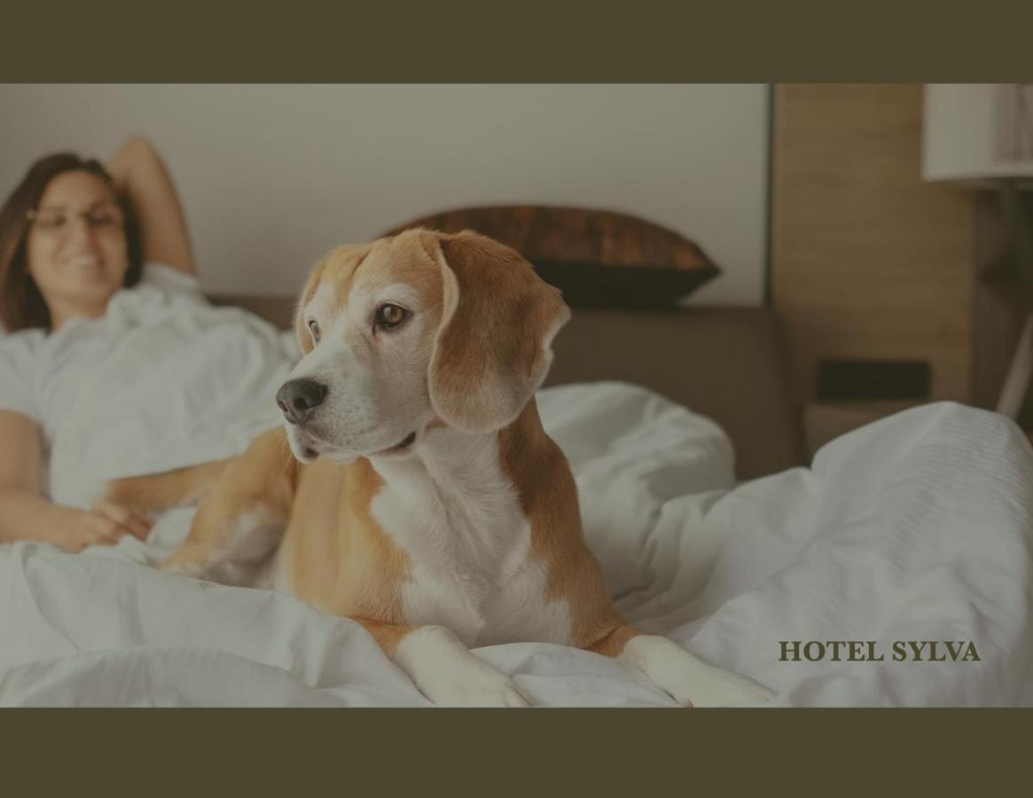 Hotel Sylva — photo 18