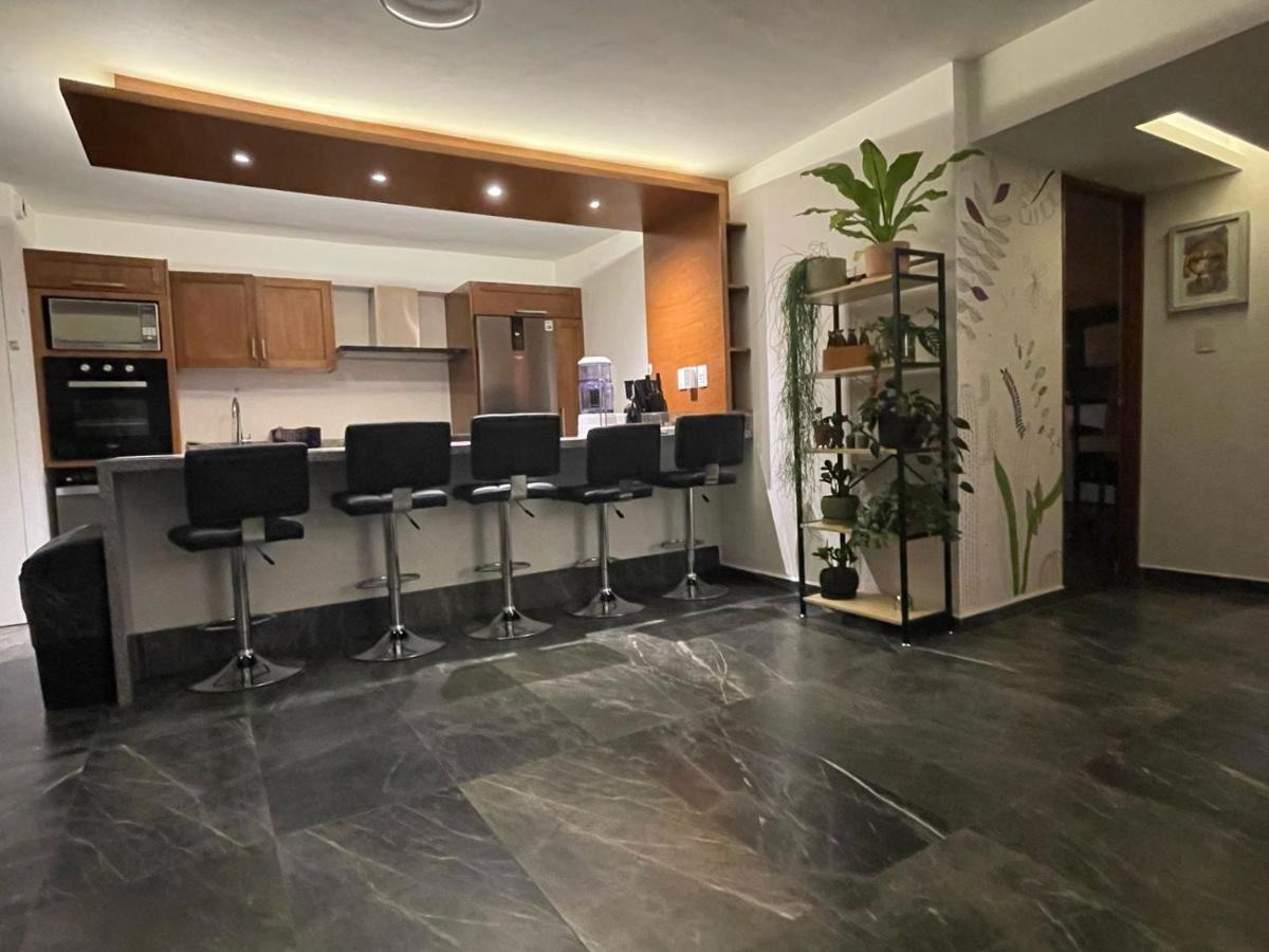 Great apartment in the heart of Coyoacan - 5