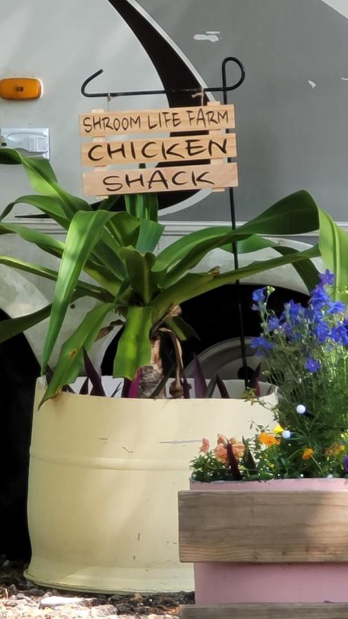Shroom-Life Farm Chicken shack — photo 15