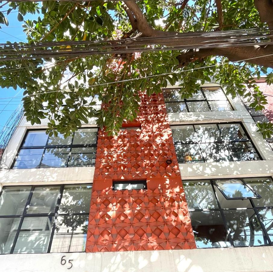 Great apartment in the heart of Coyoacan - 3