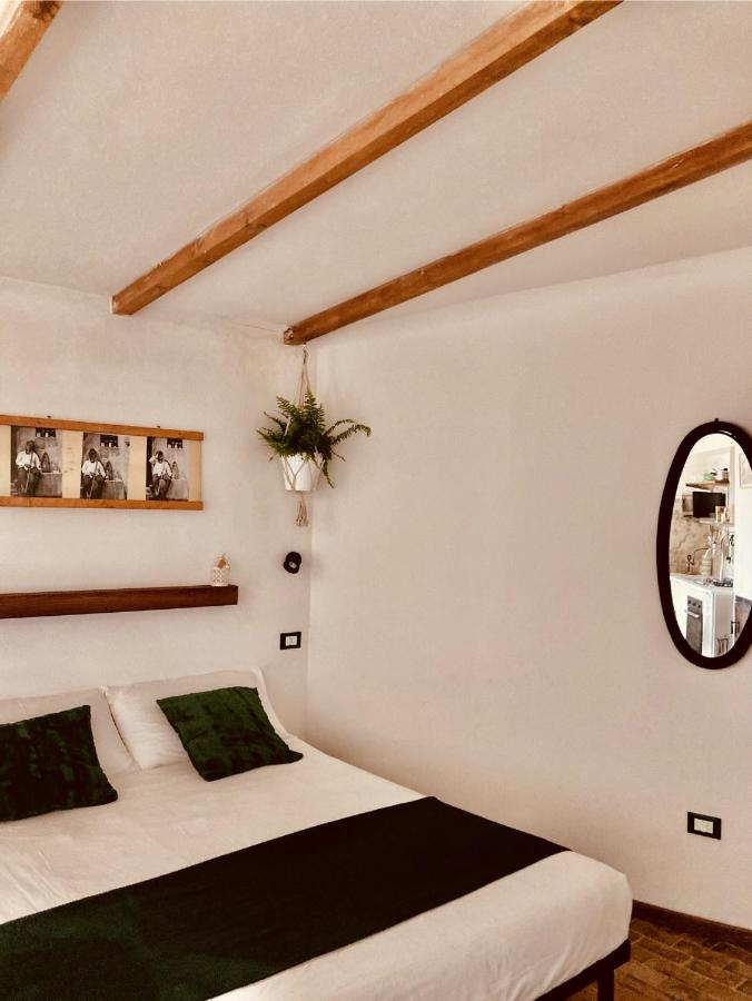 Poderino di Santa Lucia - 2