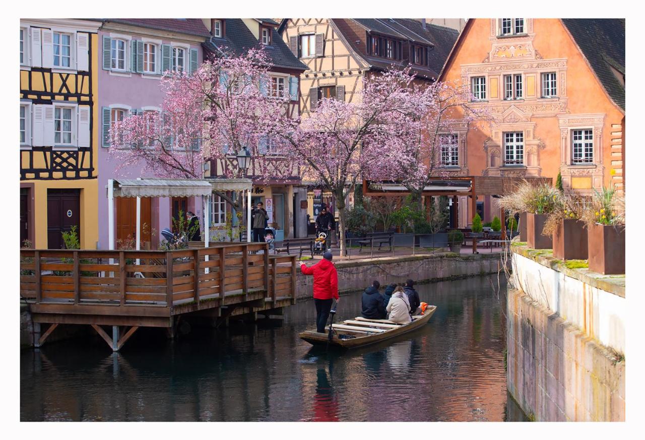 Фото Maison avec terrasse Colmar Centre-Cottage garden terrace Center Old Town Colmar