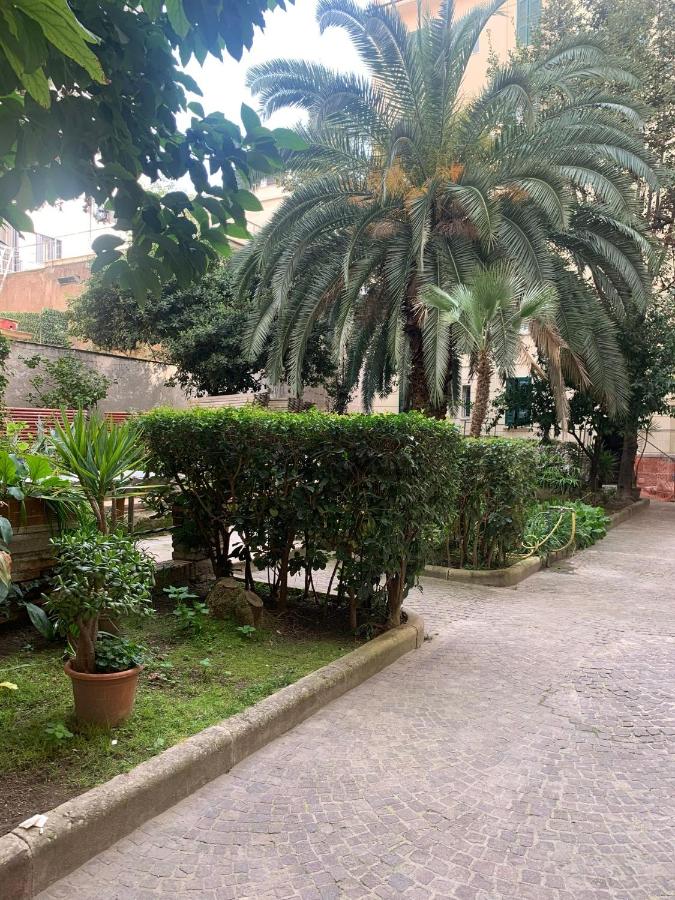 Candia Delizioso Appartamento vicino al Vaticano - 5