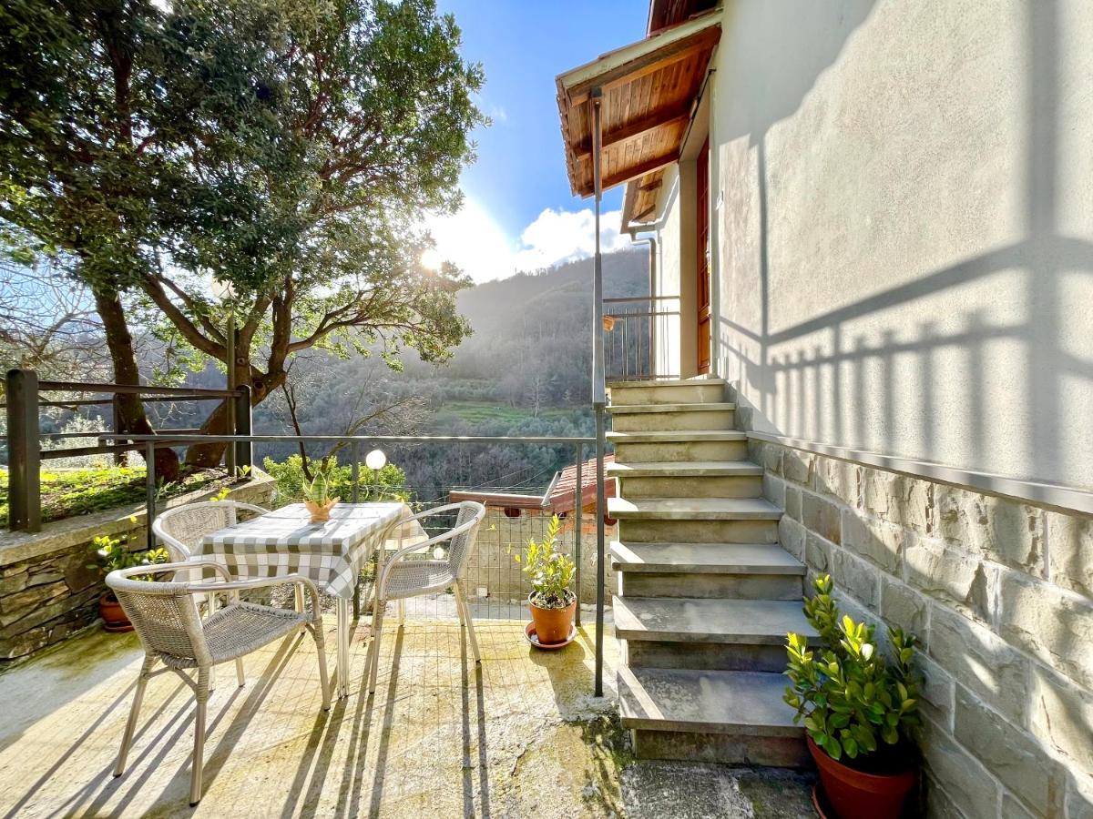 Il Corbezzolo - 5