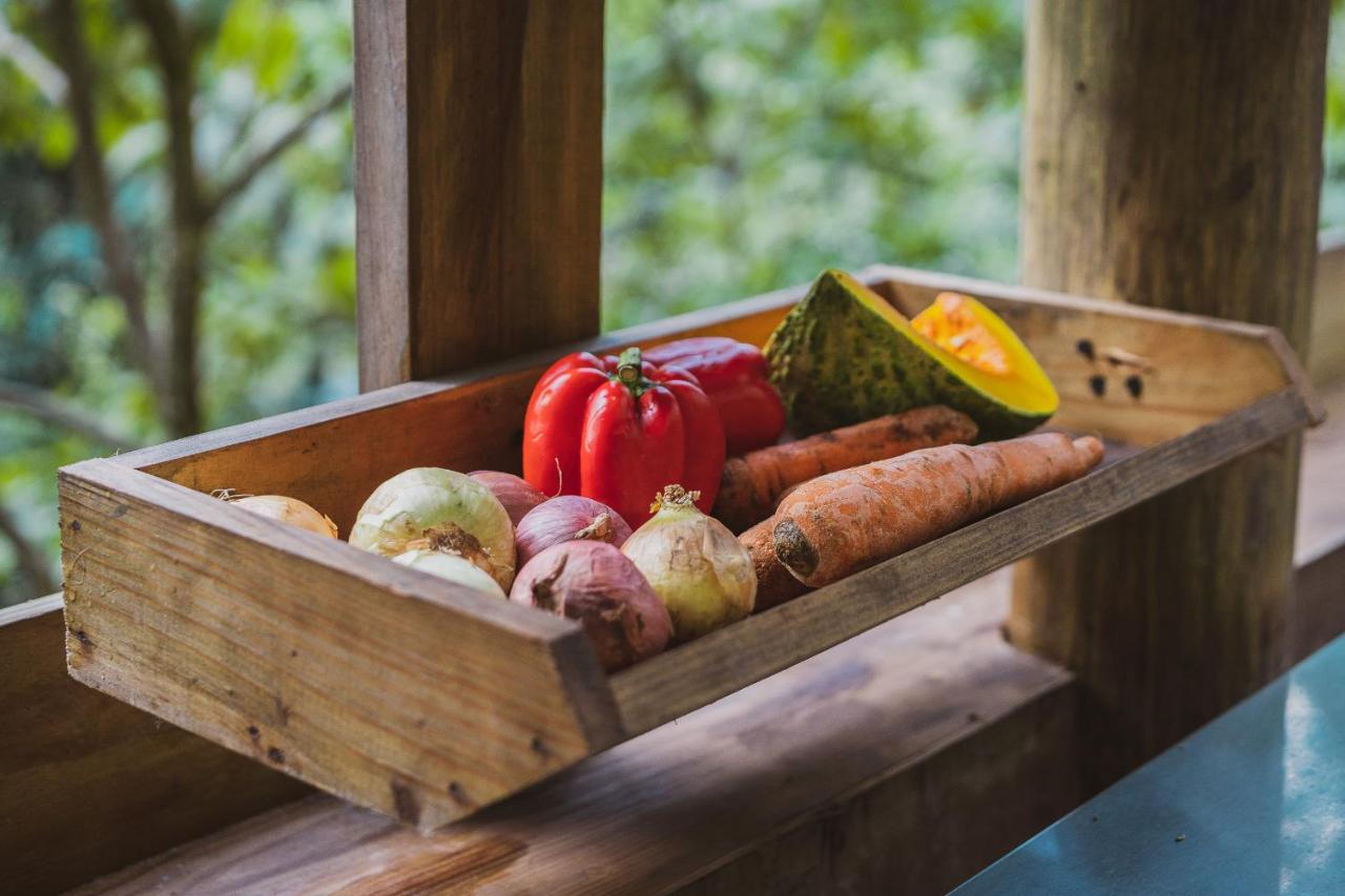 ZARIA Hotel & Retreat Center - 5