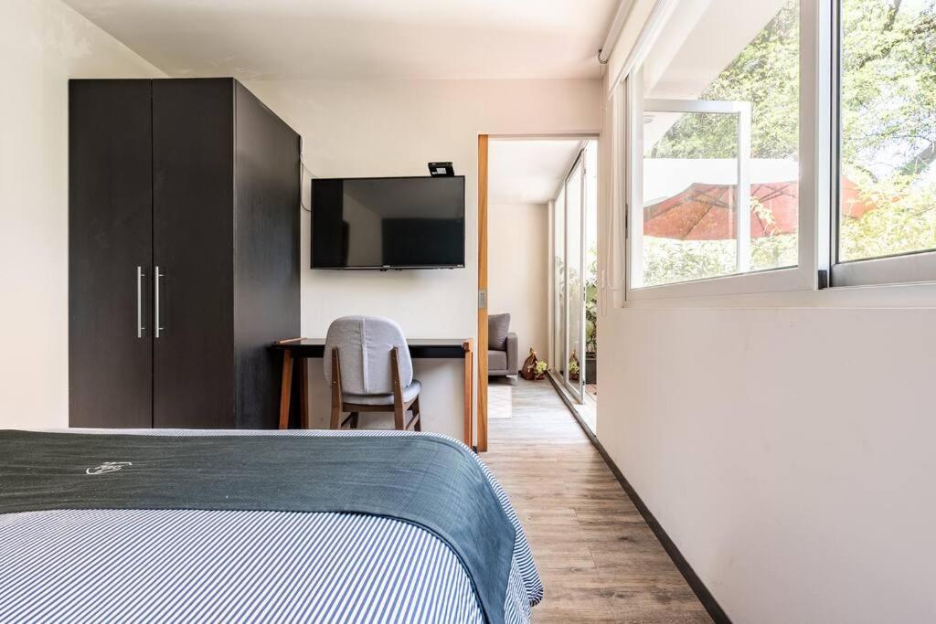 Loft con Terraza (Tabaco) - 2