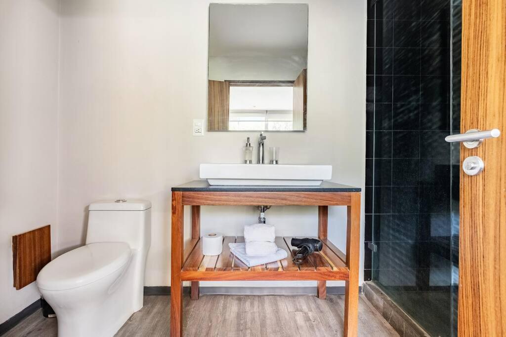 Loft con Terraza (Tabaco) - 4