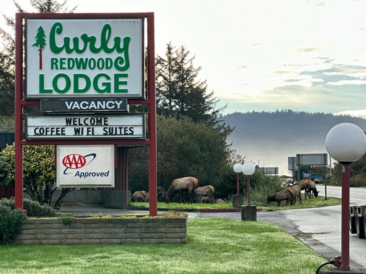 Curly Redwood Lodge — photo 17