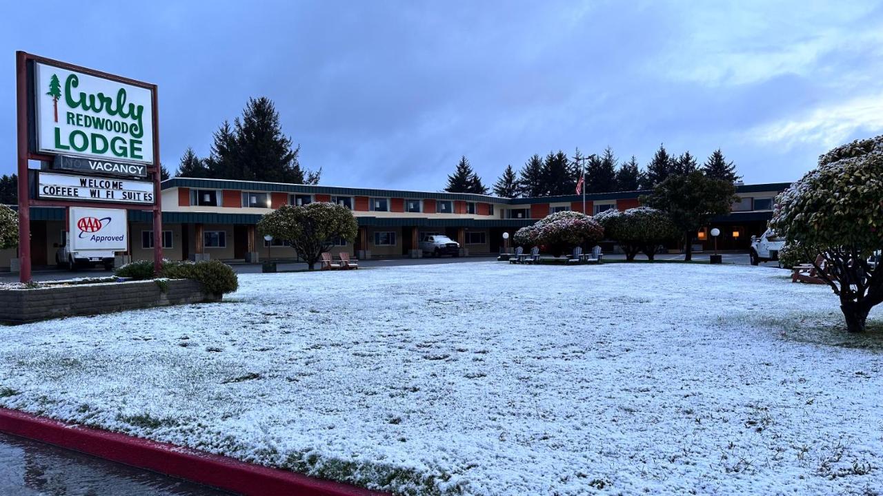Curly Redwood Lodge — photo 24
