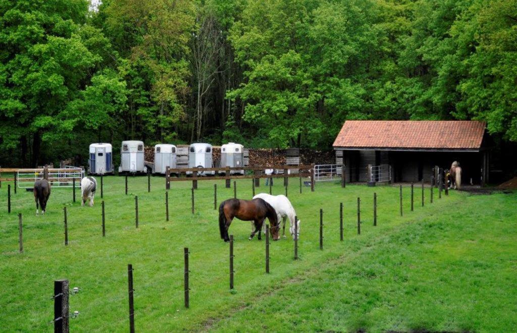 B&B De Edelsteen photo