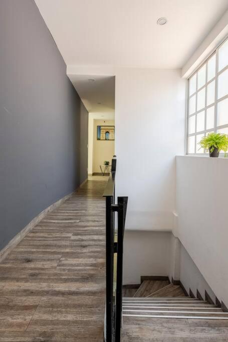 LOVELY LOFT COYOACAN (CHABELA) - 5