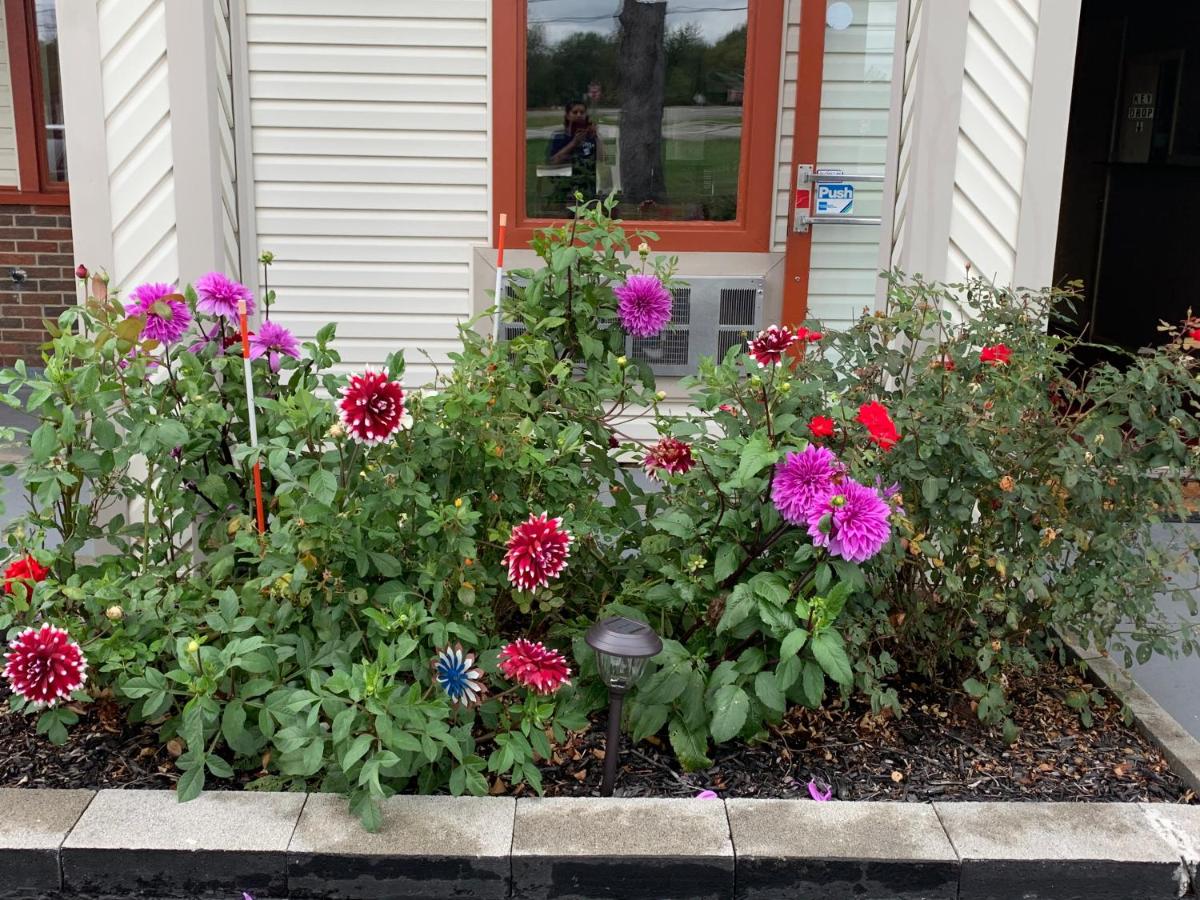 Falls Inn — photo 9