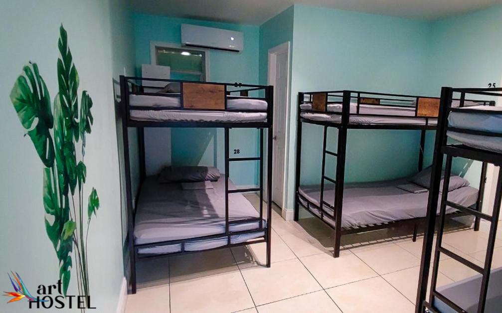 Art Hostel — photo 21