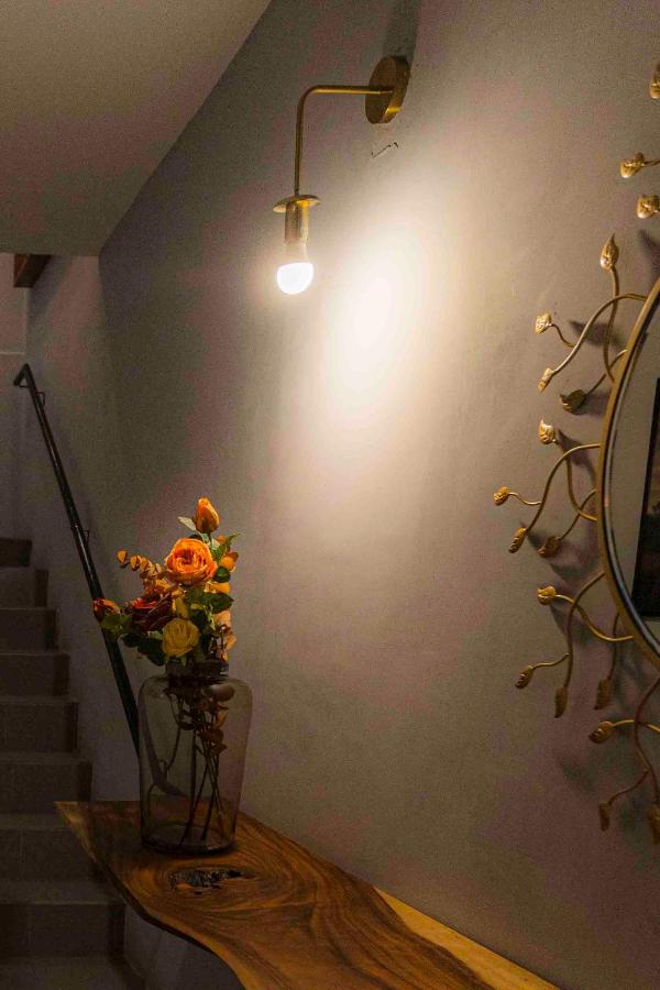 Morada Luna Polanco - 4