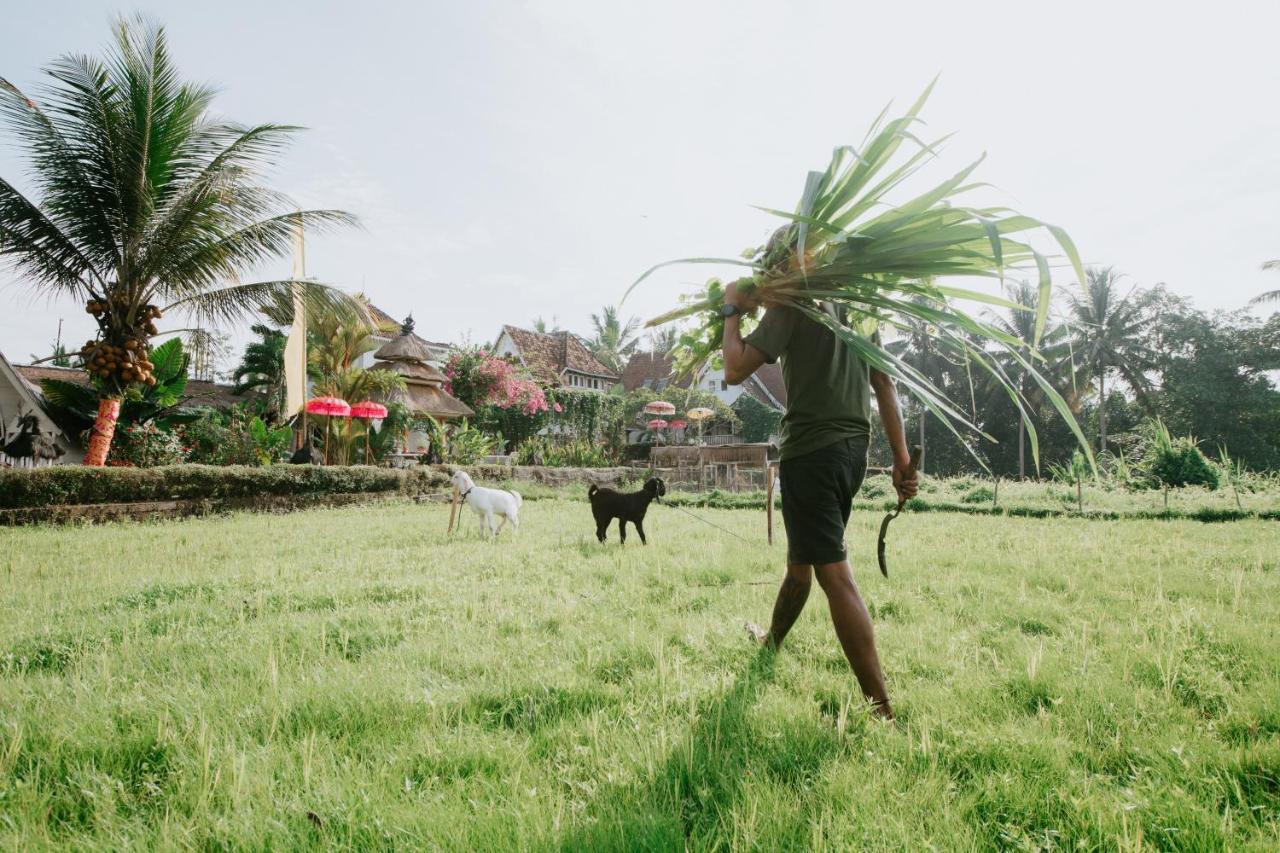 The Rice Joglo Eco-Stay - 5