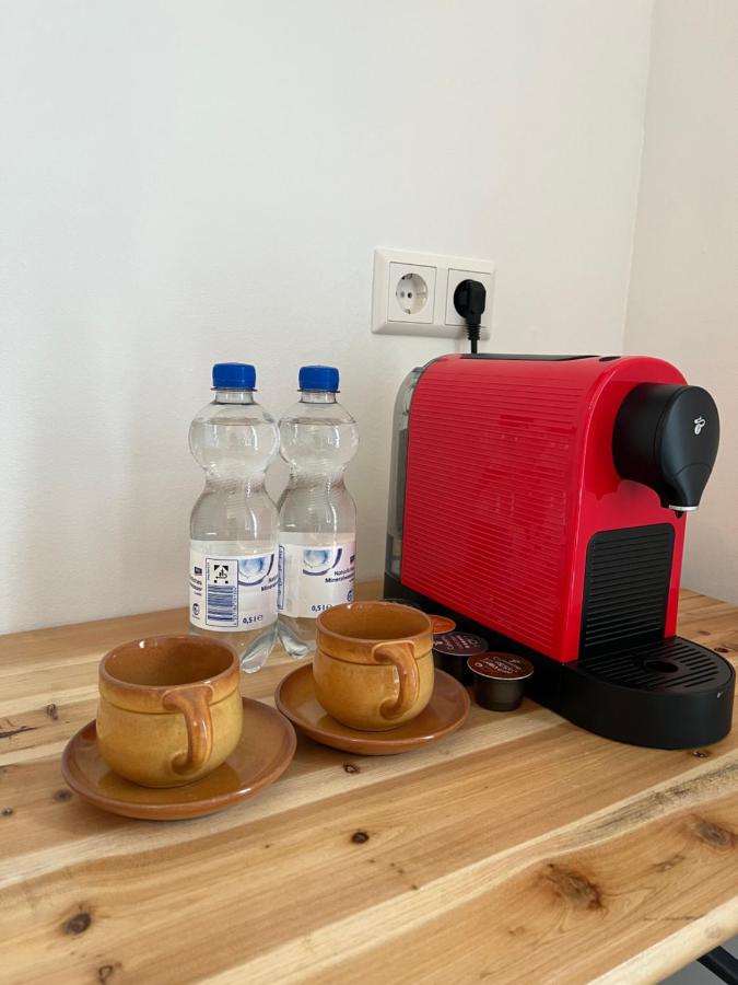 King David Garden - 4