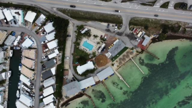 Edgewater Lodge — photo 11