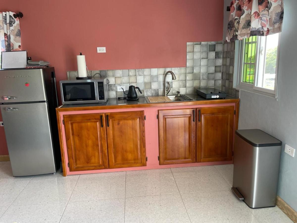 Taste Of Freedom - 2