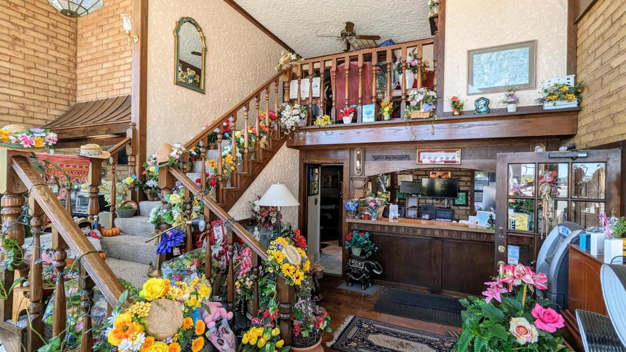 Edelweiss Inn — photo 14