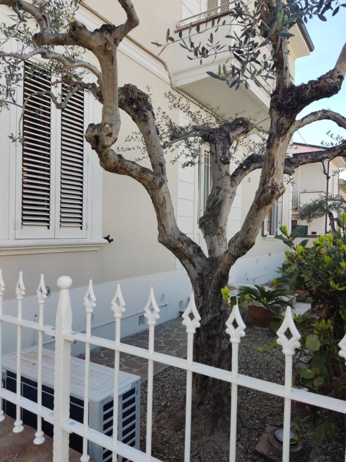 La dimora dei Conti - 2