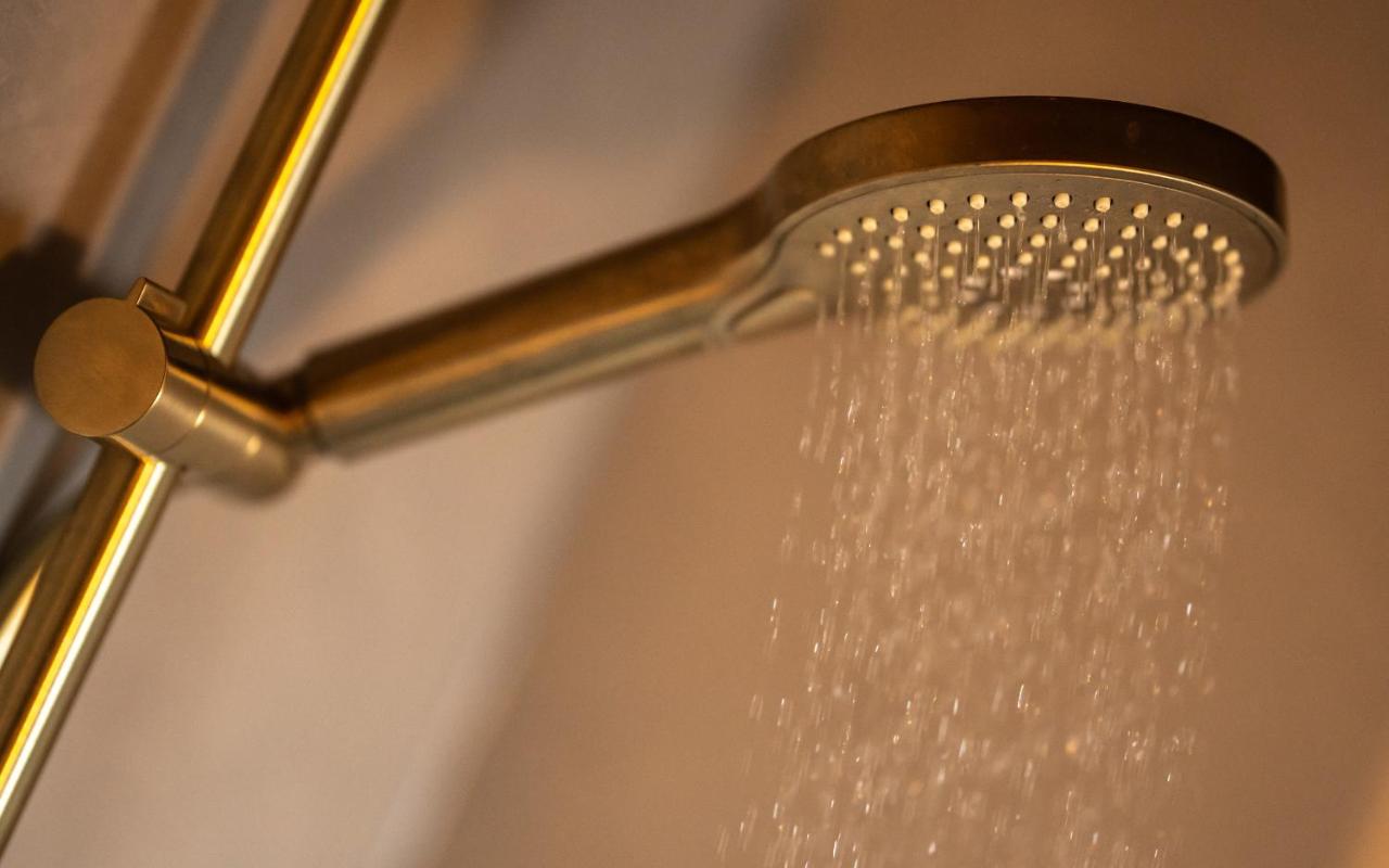 Houseboat-Amsterdam-Classic - 2