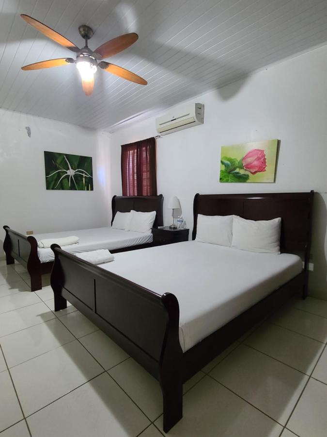 Habitation Des Lauriers - 2