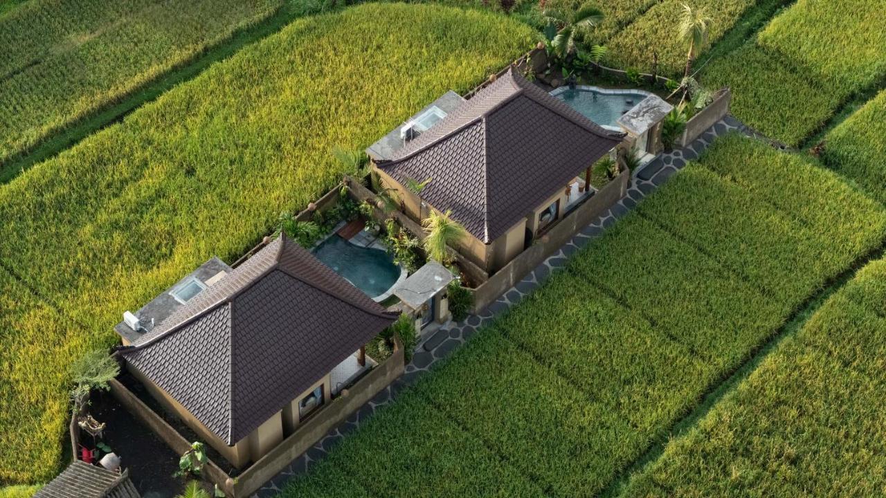 Sawah Sebatu Villa