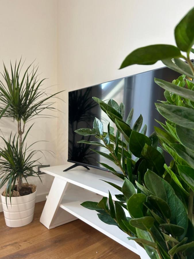 La casa sul tetto - 4