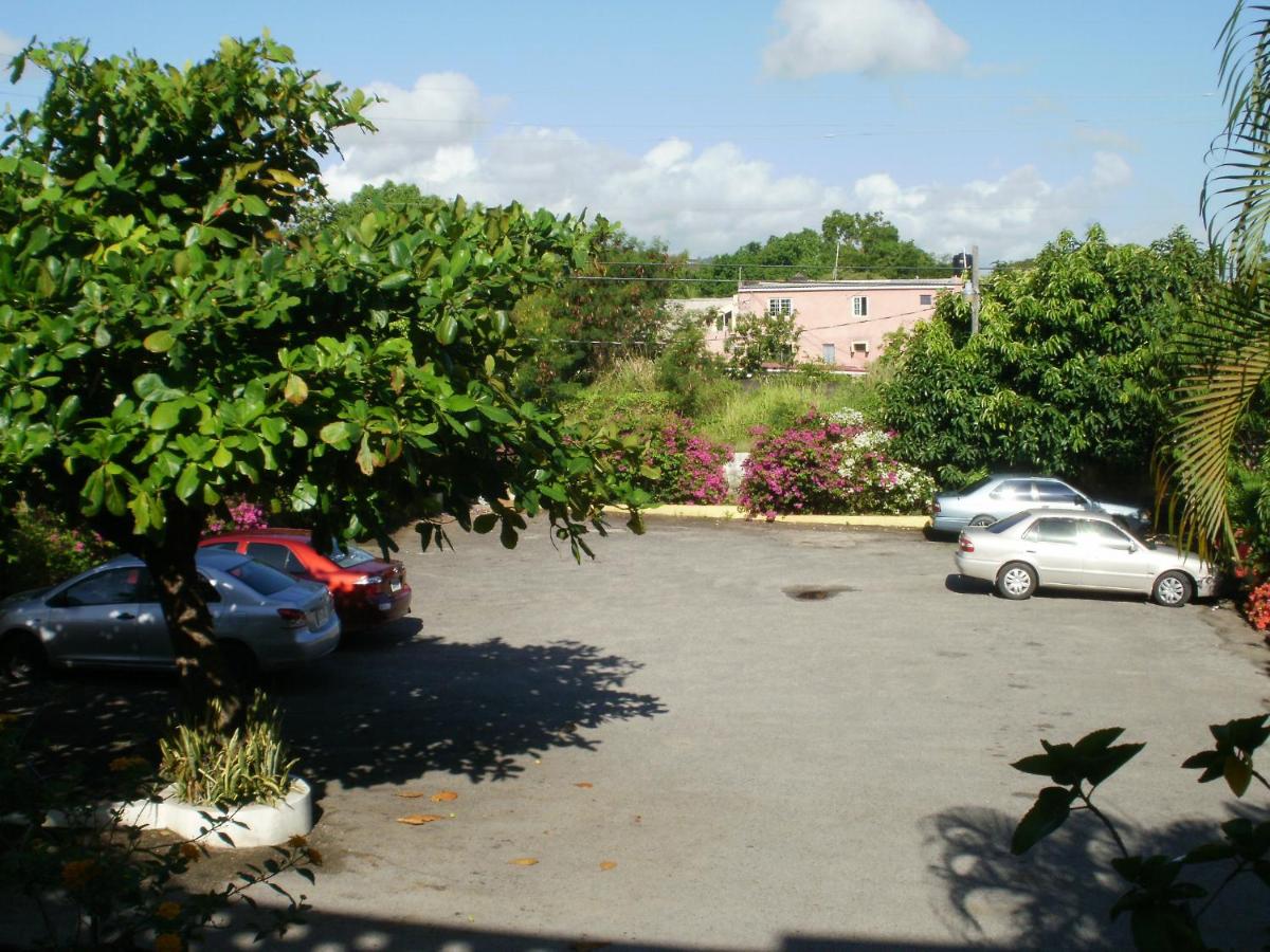 Pineapple Court Hotel - 4