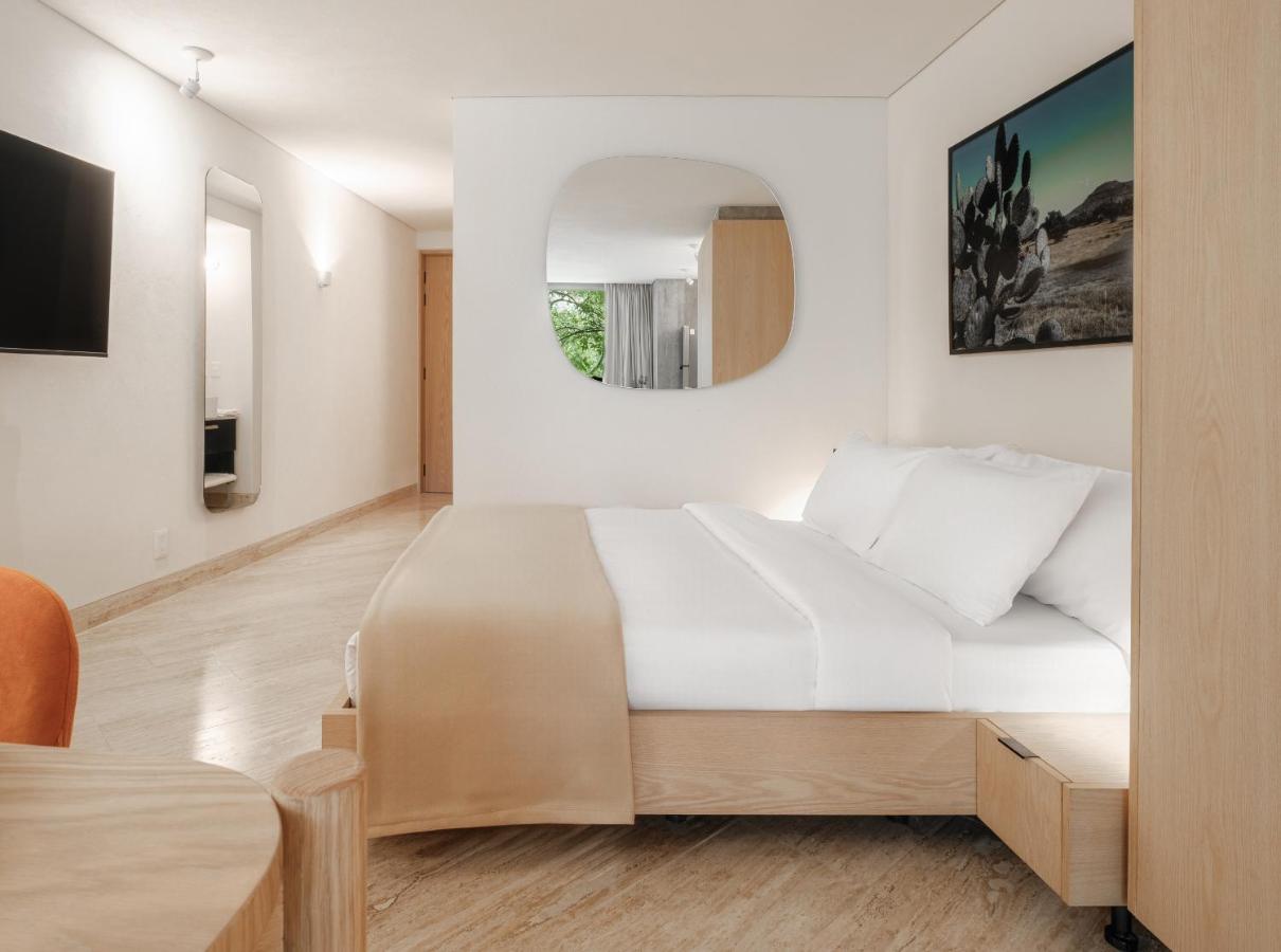 Nido Parque Mexico - 3