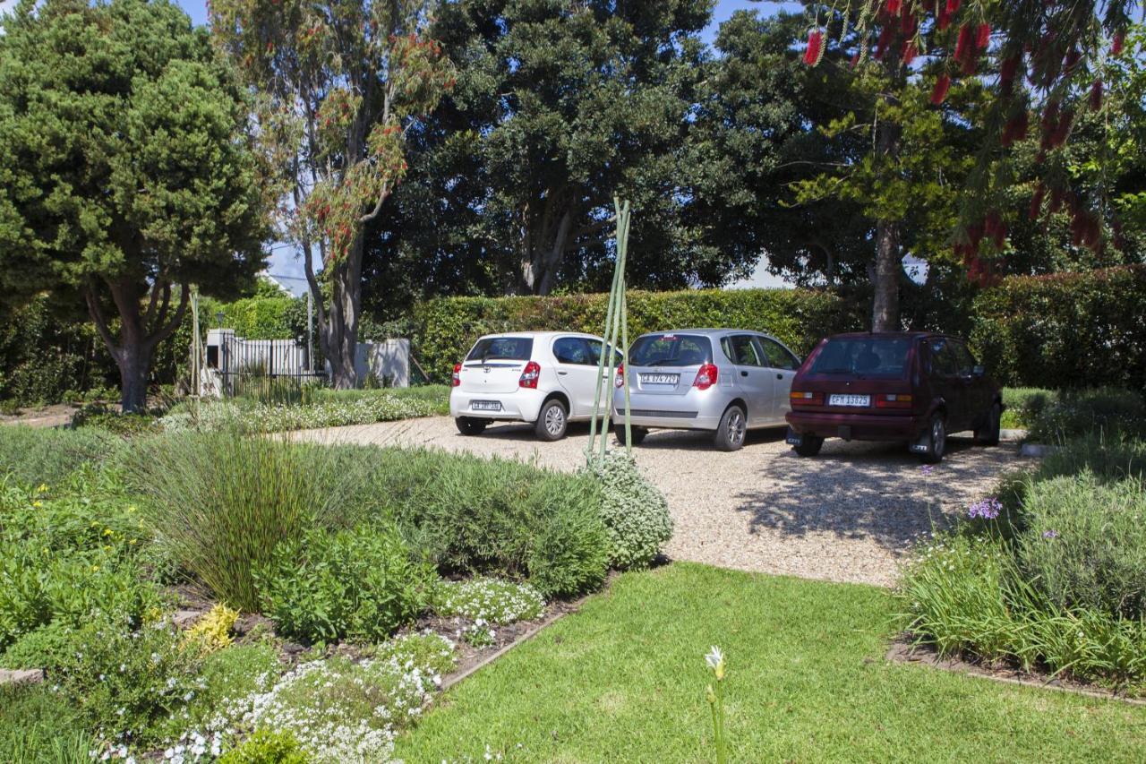 33 Strawberry Lane - Studio and Cottage - 4