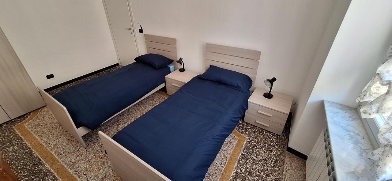 La Casa dei Gatti Matti - 2