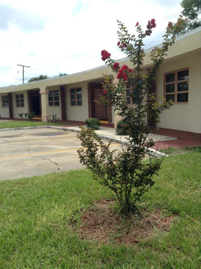Pine Forest Motel — photo 18