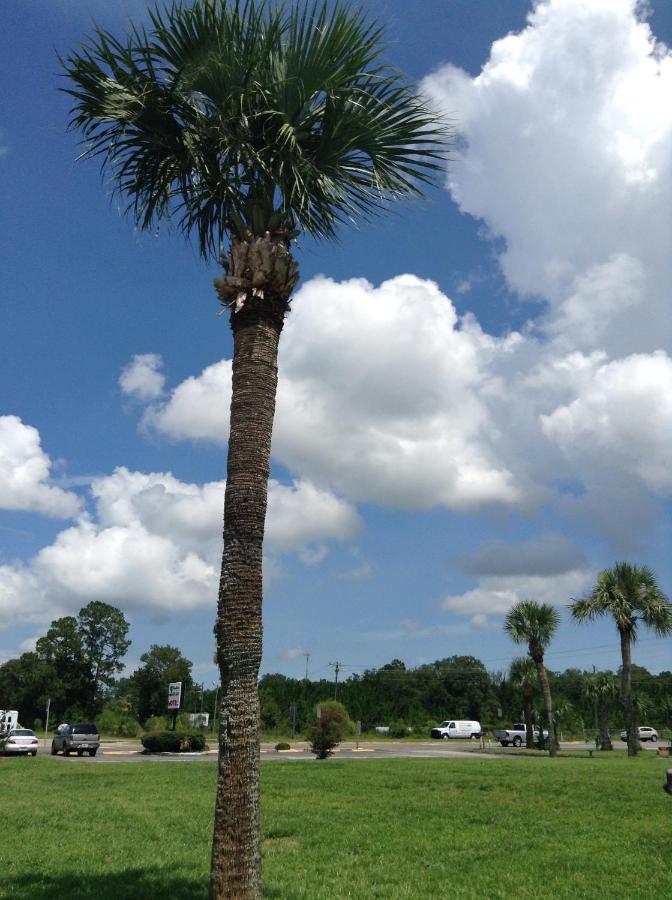 Pine Forest Motel — photo 16