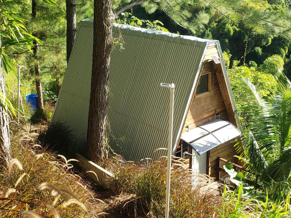 Ridge View Cottage Blue Mountain Wilderness Retreat - 3