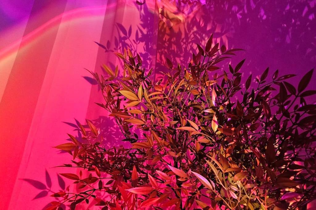 OPEN near Seoul station - 5