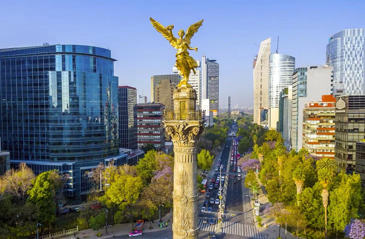 Lerma Dos Seis Cuatro - 5