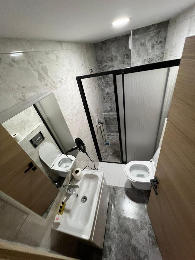 dolphin hotel cafe - 3