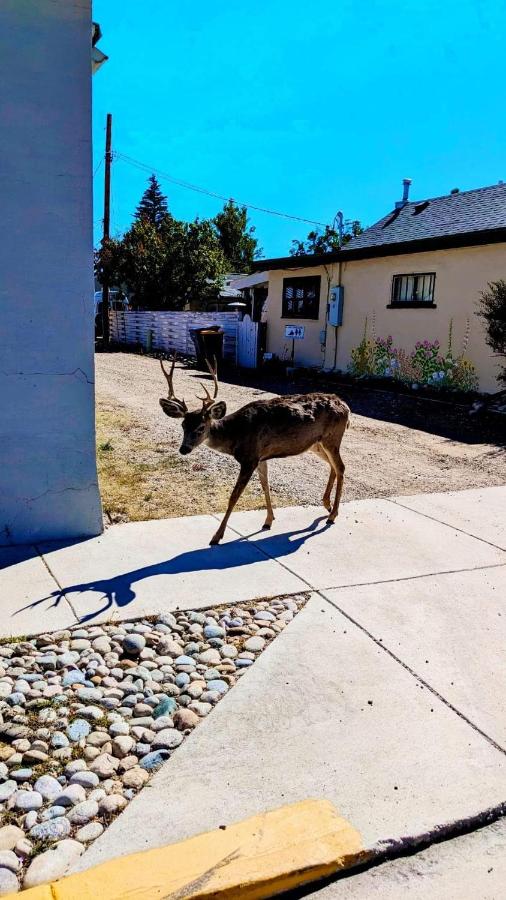 Browns Canyon Inn — photo 16