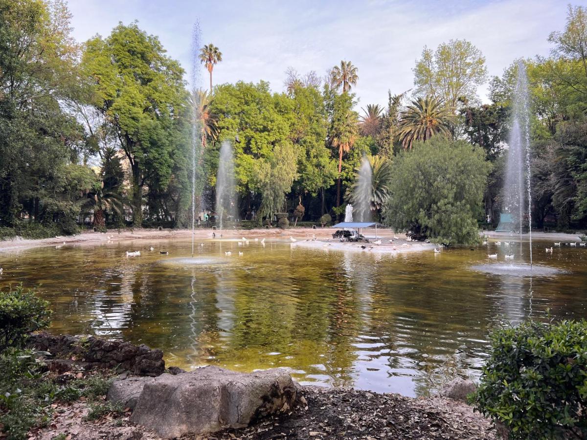 Condesa Residence Campeche 10 Amazing 2 Bedroom 1 Bathroom Oasis with Ample Room - 3