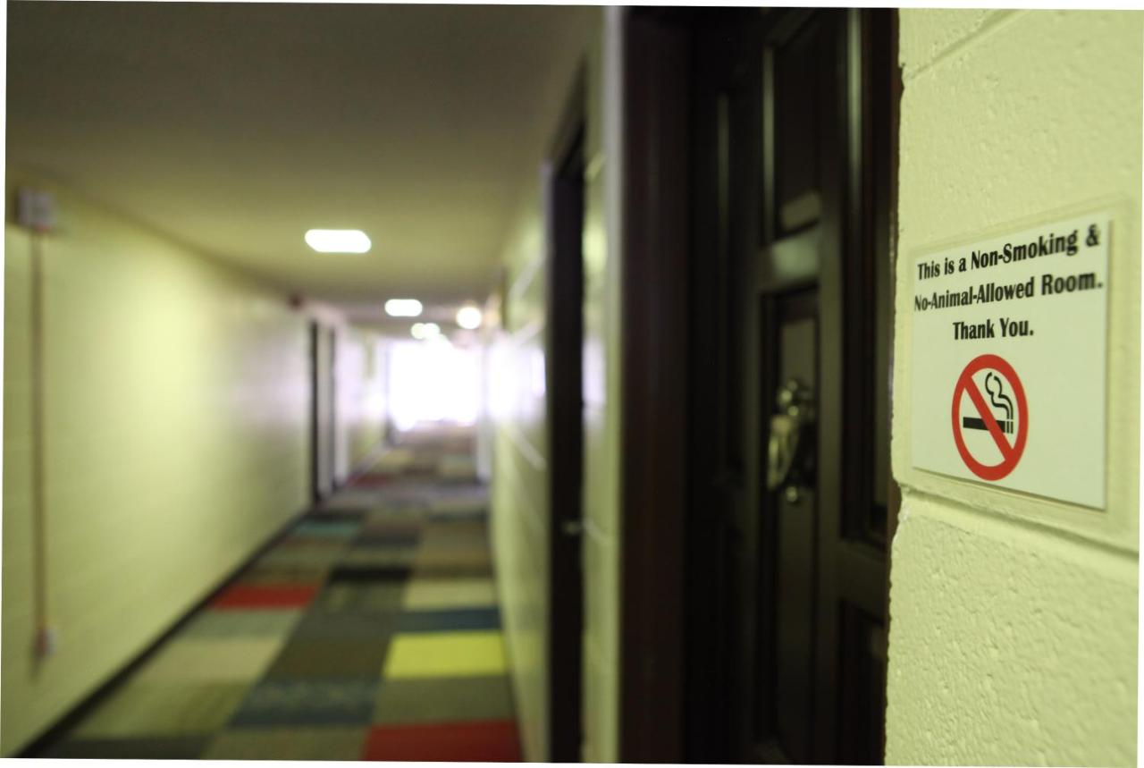 Arcadia Hotel — photo 11