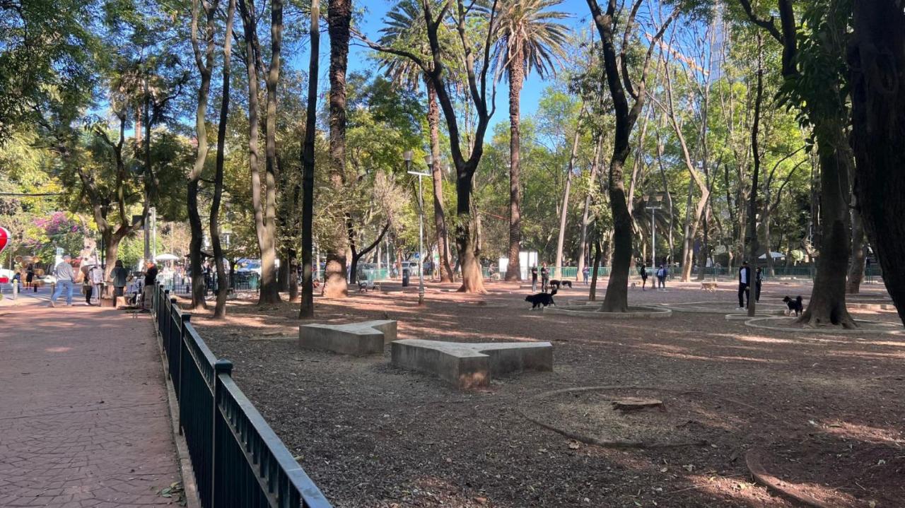 Condesa Residence Campeche 3 Charm 2BR 1BA Apartment with Expansive Living Space - 4