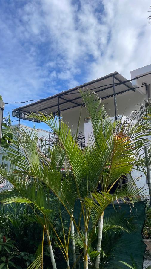 Casa LeValois - Hidden Garden Oasis in Port-Louis - 5