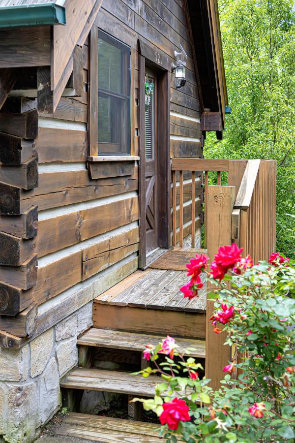 Cozy Nest Cabin — photo 12